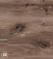 Кромка с клеем, Береза сандал, Срез дерева, 3000*32*0,5